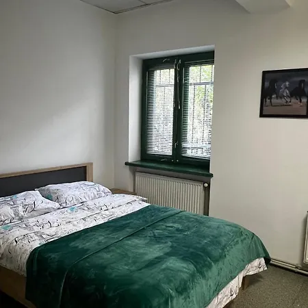 старий дворик,кімнати 10 хв від жд вокзалу, корпус 3 * Lviv